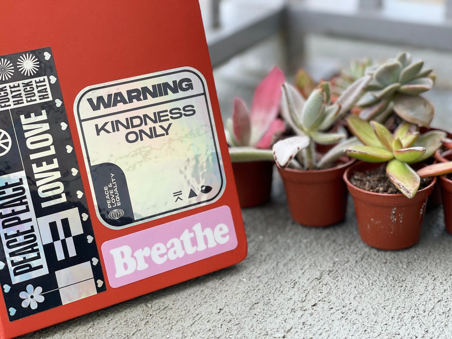 Holographic Kindness Only Sticker (5 Pack)